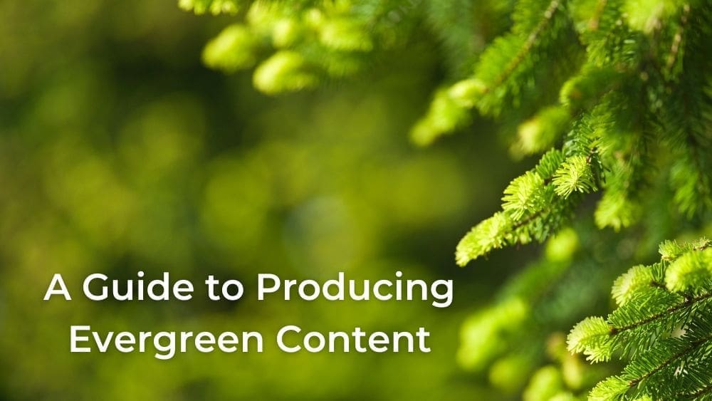 Blog Photo Guide to Producing Evergreen Content 1