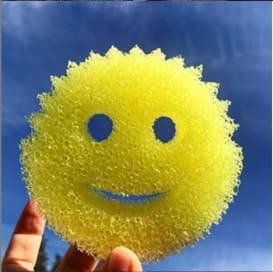 Scrub Daddy Sponge 2